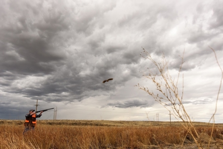Colorado Guest Ranch For Sale Near Denver - image 12
