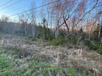 +/- 5.2 Acres on 127 in Taylorsville NC! - image 9