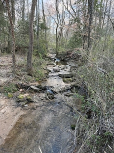 +/- 5.2 Acres on 127 in Taylorsville NC! - image 5