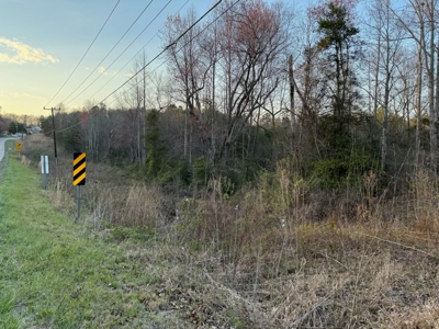+/- 5.2 Acres on 127 in Taylorsville NC! - image 7