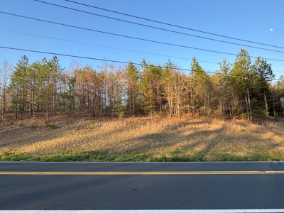 +/- 5.2 Acres on 127 in Taylorsville NC! - image 12