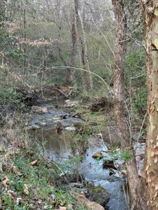 +/- 5.2 Acres on 127 in Taylorsville NC! - image 6
