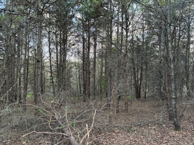+/- 5.2 Acres on 127 in Taylorsville NC! - image 3