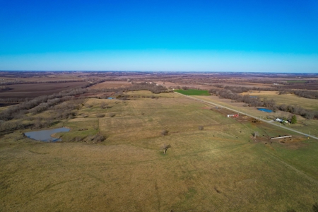Grace Farms Tract 6 - 189 Acres, Pasture - image 13