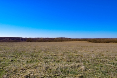 Grace Farms Tract 6 - 189 Acres, Pasture - image 17