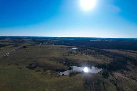 Grace Farms Tract 6 - 189 Acres, Pasture - image 5