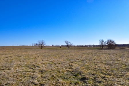 Grace Farms Tract 6 - 189 Acres, Pasture - image 27