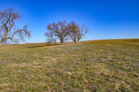 Grace Farms Tract 6 - 189 Acres, Pasture - image 25