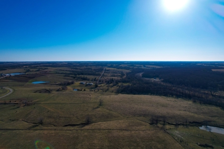 Grace Farms Tract 6 - 189 Acres, Pasture - image 9