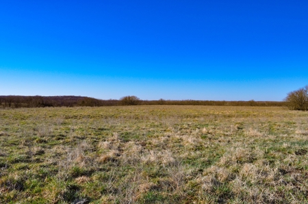Grace Farms Tract 6 - 189 Acres, Pasture - image 16