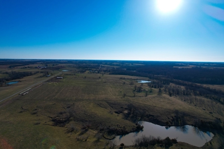 Grace Farms Tract 6 - 189 Acres, Pasture - image 6