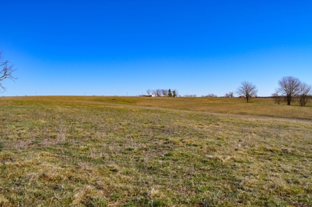 Grace Farms Tract 6 - 189 Acres, Pasture - image 23