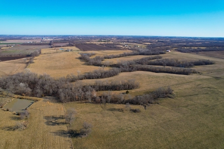 Grace Farms Tract 7 - 308 Acres, Pasture - image 15