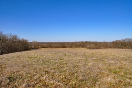 Grace Farms Tract 7 - 308 Acres, Pasture - image 26