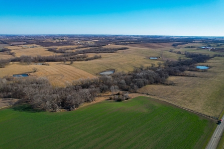 Grace Farms Tract 7 - 308 Acres, Pasture - image 17