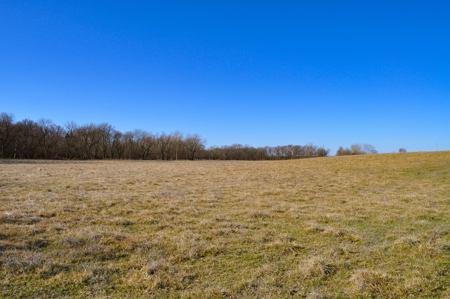 Grace Farms Tract 7 - 308 Acres, Pasture - image 33