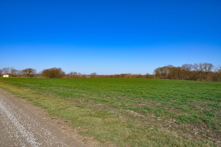 Grace Farms Tract 7 - 308 Acres, Pasture - image 18