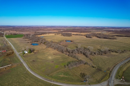Grace Farms Tract 7 - 308 Acres, Pasture - image 3