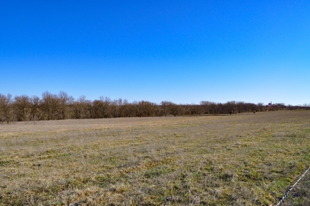 Grace Farms Tract 7 - 308 Acres, Pasture - image 22