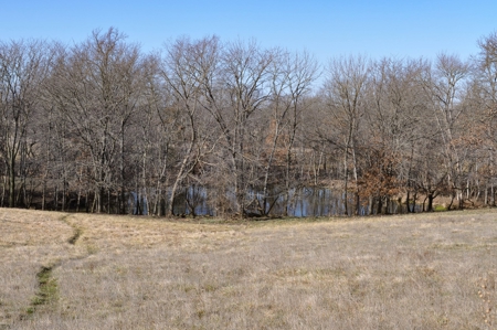 Grace Farms Tract 7 - 308 Acres, Pasture - image 27