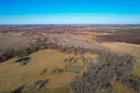 Grace Farms Tract 7 - 308 Acres, Pasture - image 13