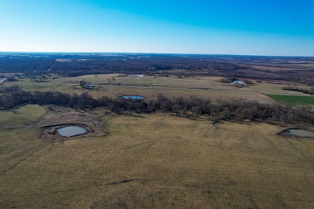 Grace Farms Tract 7 - 308 Acres, Pasture - image 11