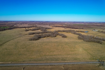 Grace Farms Tract 7 - 308 Acres, Pasture - image 6