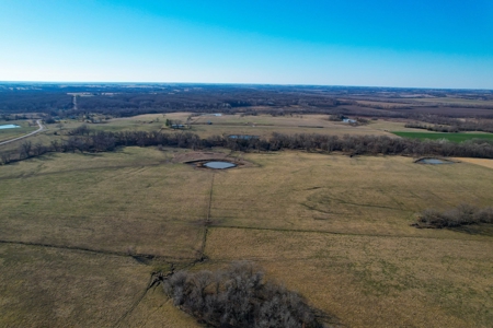 Grace Farms Tract 7 - 308 Acres, Pasture - image 10
