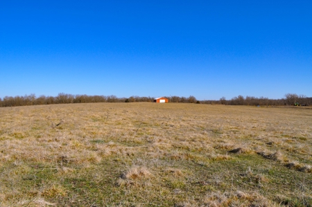 Grace Farms Tract 7 - 308 Acres, Pasture - image 32