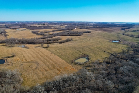 Grace Farms Tract 7 - 308 Acres, Pasture - image 16