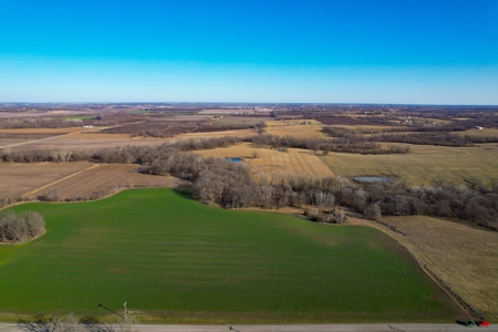 Grace Farms Tract 7 - 308 Acres, Pasture - image 2