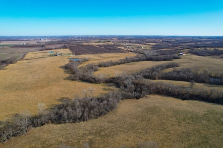 Grace Farms Tract 7 - 308 Acres, Pasture - image 14