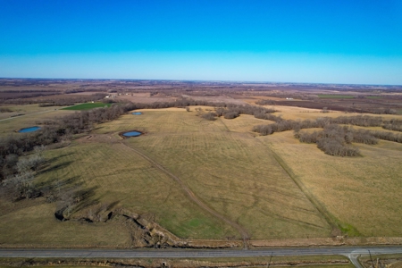 Grace Farms Tract 7 - 308 Acres, Pasture - image 5