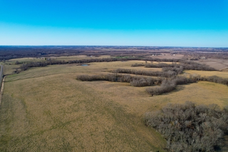 Grace Farms Tract 7 - 308 Acres, Pasture - image 8