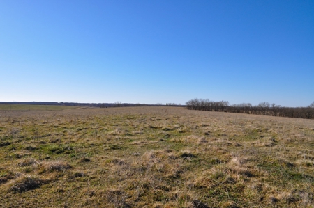 Grace Farms Tract 7 - 308 Acres, Pasture - image 25