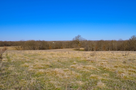 Grace Farms Tract 7 - 308 Acres, Pasture - image 30