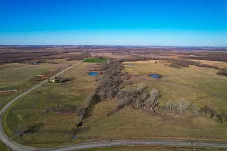 Grace Farms Tract 7 - 308 Acres, Pasture - image 4