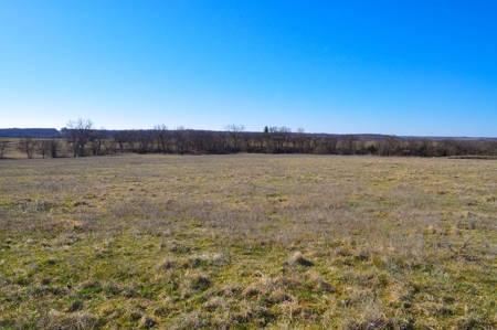 Grace Farms Tract 7 - 308 Acres, Pasture - image 28
