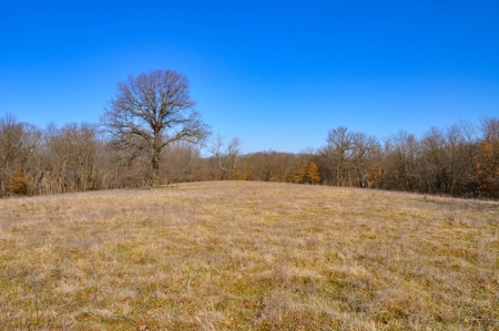 Grace Farms Tract 7 - 308 Acres, Pasture - image 31
