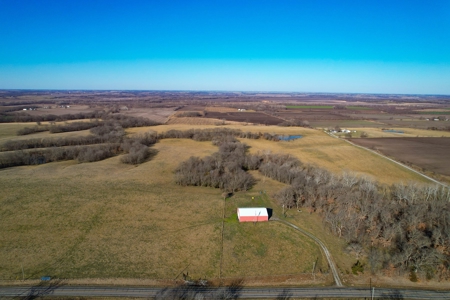 Grace Farms Tract 7 - 308 Acres, Pasture - image 7