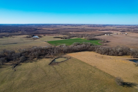 Grace Farms Tract 7 - 308 Acres, Pasture - image 12