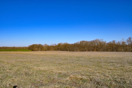 Grace Farms Tract 7 - 308 Acres, Pasture - image 20