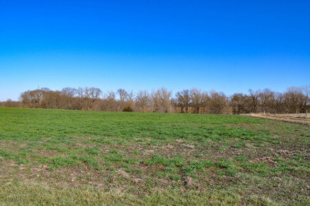 Grace Farms Tract 7 - 308 Acres, Pasture - image 19