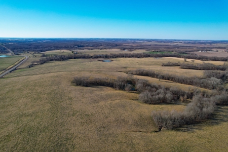 Grace Farms Tract 7 - 308 Acres, Pasture - image 9