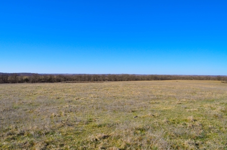 Grace Farms Tract 7 - 308 Acres, Pasture - image 29