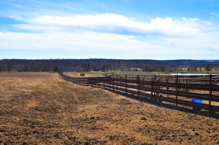 Grace Farms Tract 9 - 338 Acres, Pasture with Feedlot - image 22