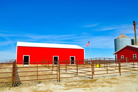 Grace Farms Tract 9 - 338 Acres, Pasture with Feedlot - image 30