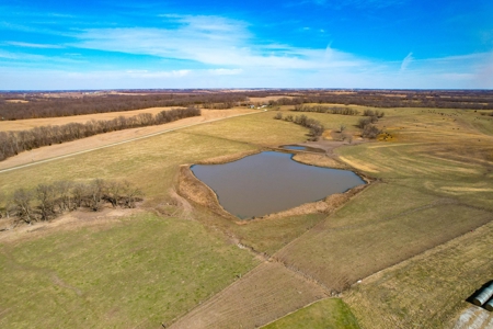 Grace Farms Tract 9 - 338 Acres, Pasture with Feedlot - image 5