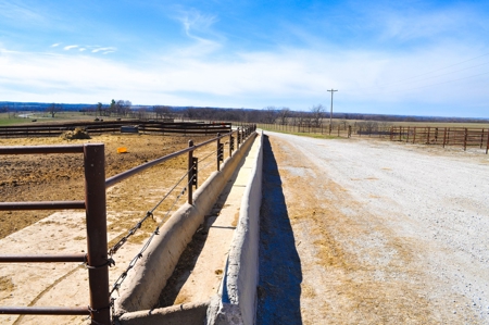 Grace Farms Tract 9 - 338 Acres, Pasture with Feedlot - image 19