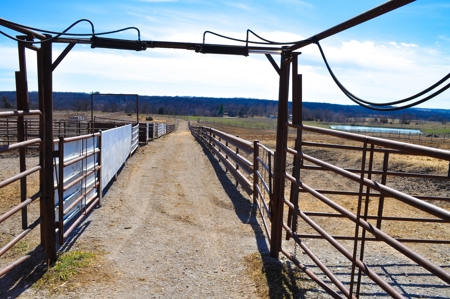 Grace Farms Tract 9 - 338 Acres, Pasture with Feedlot - image 21